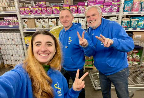 Transport - 22 von 30